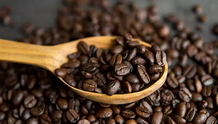 قیمت قهوه قهوه 50 درصد روبوستا 50 درصد عربیکا