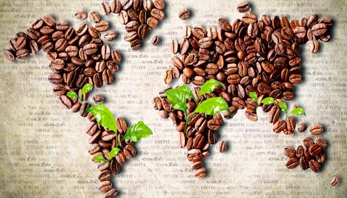بهترین قهوه دنیا چیست 