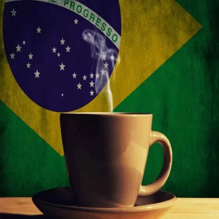 قهوه 100 درصد عربیکا برزیل